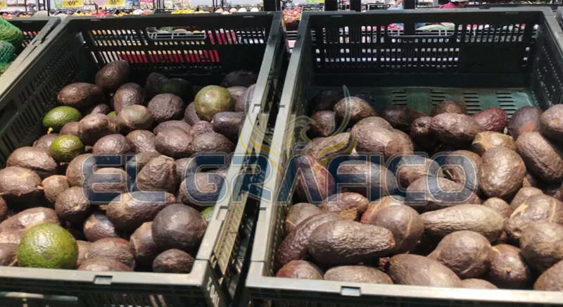 Aguacate se vende en 110 pesos