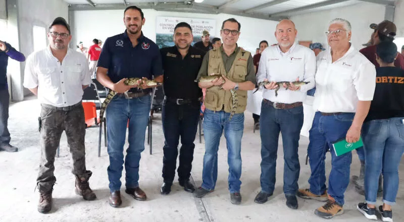 Colabora la UAT en la conservación y control del cocodrilo morelet