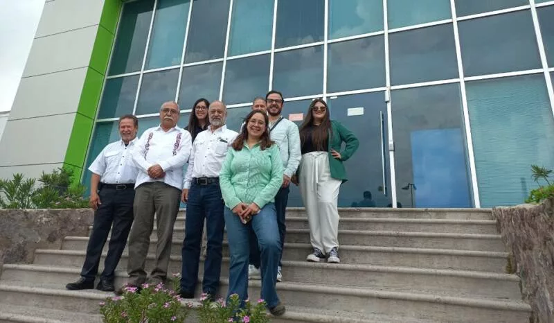 Realizan segunda prueba para la fabricación de harina nixtamalizada de sorgo blanco