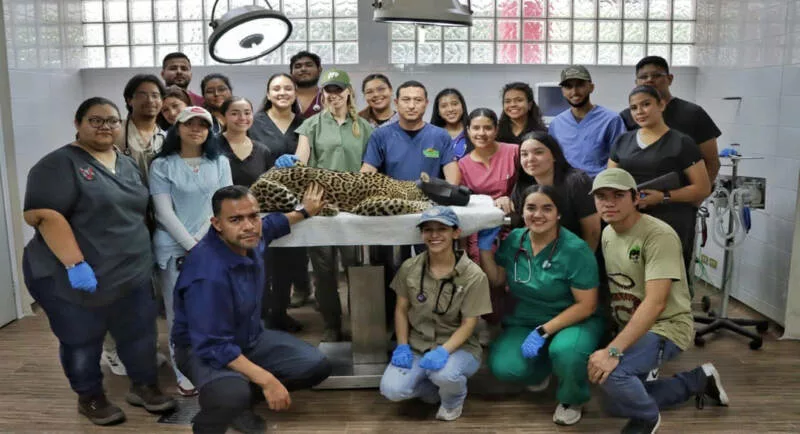 Destaca Zoológico Tamatán como papel clave de la medicina veterinaria en ambientes controlados