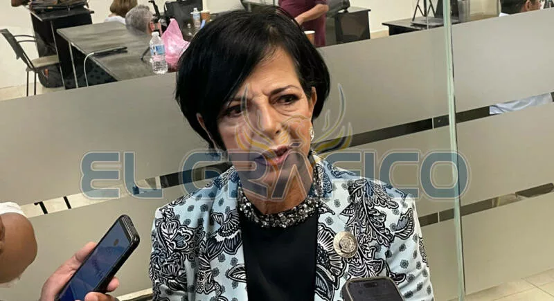 Diputada a favor de regular los colectivos de búsqueda de personas
