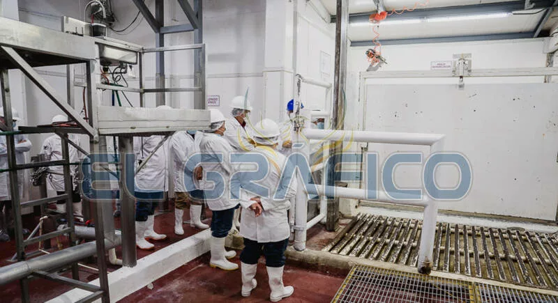 Rastro de Veterinaria recibe certificación TIF y abre puertas al mundo