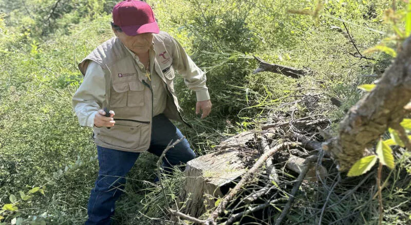 Fortalecen SEDUMA Y CONAFOR estrategia para preservar riqueza ambiental de TAMAULIPAS