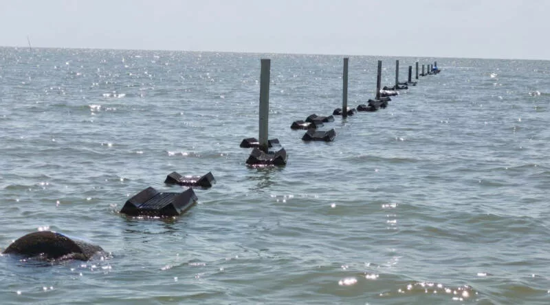 Garantiza supervisión técnica buenas prácticas acuícolas en Tamaulipas