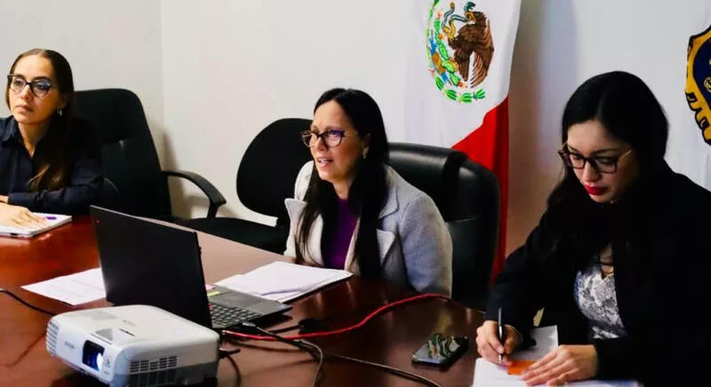 Participa Tamaulipas en sesión nacional para homologar la información pública y fortalecer la transparencia