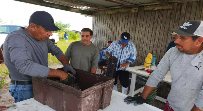 Refuerzan acciones de seguimiento y sanidad en unidades de producción acuícola en Soto la Marina