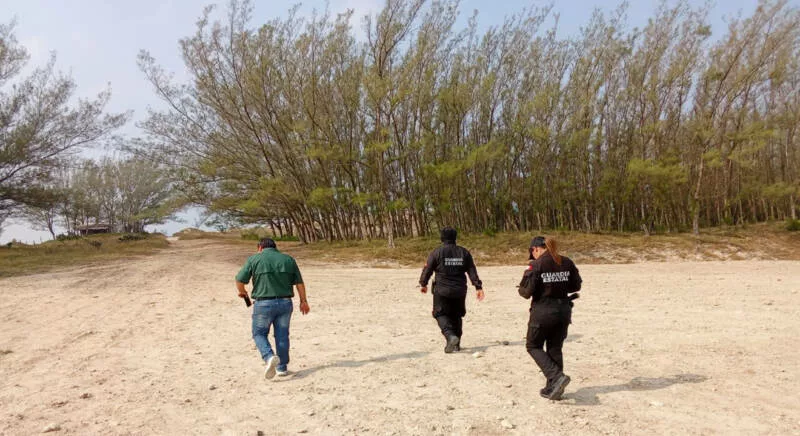 Se suma Guardia Estatal a estrategia nacional para proteger playas