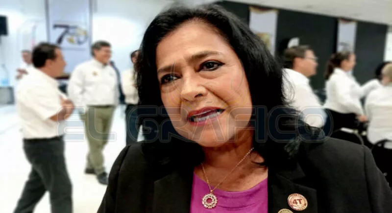 Reforma electoral: financiamiento a partidos y reducción de plurinominales