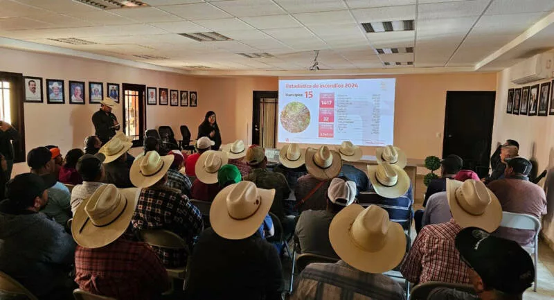 Sensibilización forestal, clave para mitigar sequías y altas temperaturas en Tamaulipas