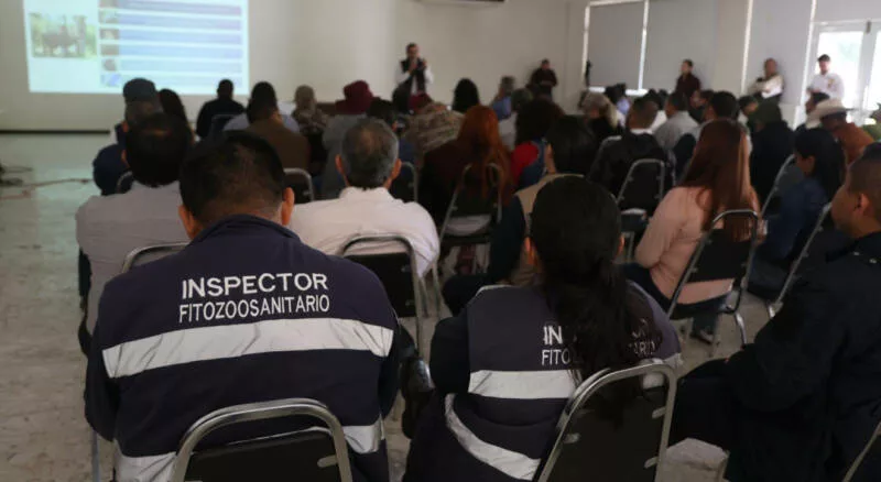 Capacitación permanente, clave para prevenir el GBG en Tamaulipas