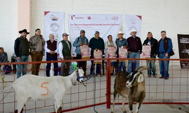 Caprinocultura y valor agregado, ejes del Festival del Cabrito 2026