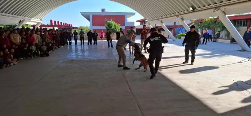 Guardia Estatal refuerza seguridad escolar con binomio canino