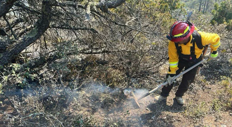 Refuerza Gobierno de Tamaulipas acciones coordinadas para el control de incendio forestal en Miquihuana