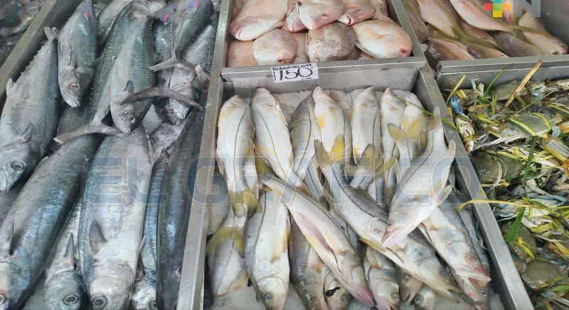 Encarece proteína de mar hasta 15% en Cuaresma: ANPEC