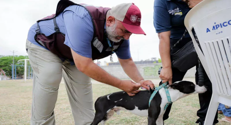 Gobierno de Tampico refrenda su compromiso con la protección y el bienestar animal
