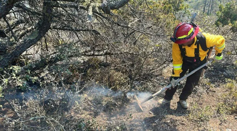 Autoridades refuerzan acciones contra incendio forestal en Miquihuana
