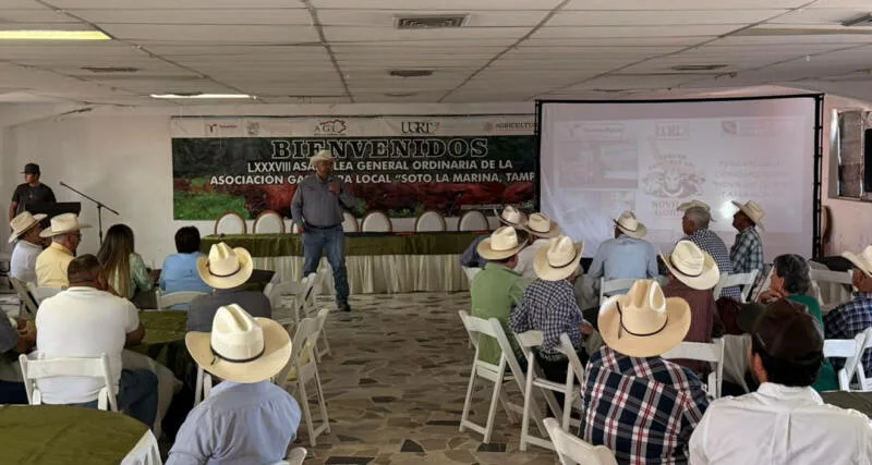 Presentan convocatoria para el “Novillo Gordo 2026”