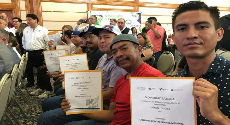 Fortalece STPS movilidad laboral; 32 personas colocadas de enero de 2026 a la fecha