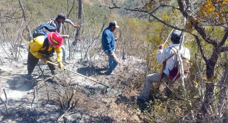 Reporta gobierno de Tamaulipas avance del 90% en control de incendio forestal en Jaumave