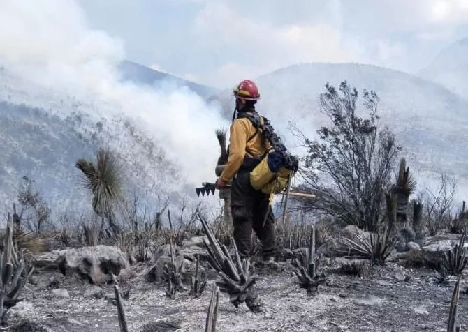Tamaulipas logra la liquidación total del incendio forestal en Bustamante