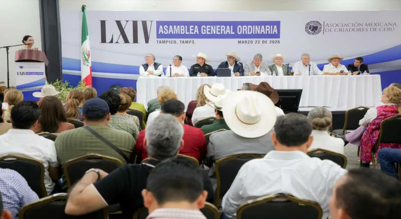 Ganadería, uno de los pilares del desarrollo económico en Tampico: Mónica Villarreal