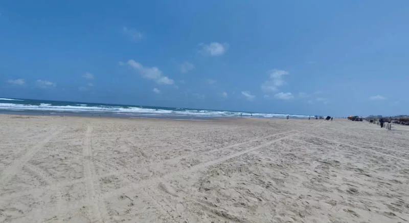 Fortalece Tamaulipas vigilancia ambiental ante presencia de hidrocarburos en costas de la zona sur