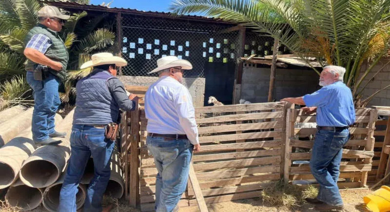 Destaca Tamaulipas con genética caprina de alto nivel en festival nacional