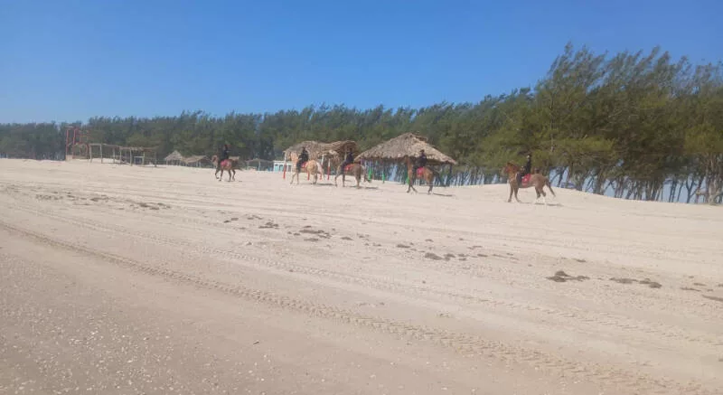 Despliega Guardia Estatal operativo en playa La Pesca durante Semana Santa