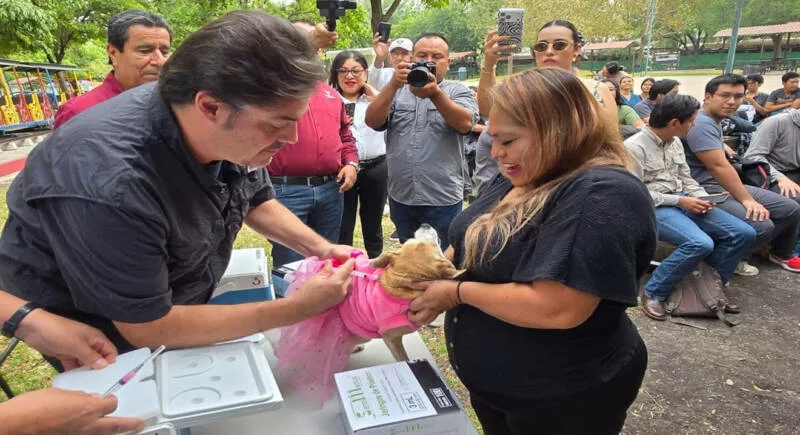 Aplicará Salud 345 mil dosis en campaña de vacunación antirrábica
