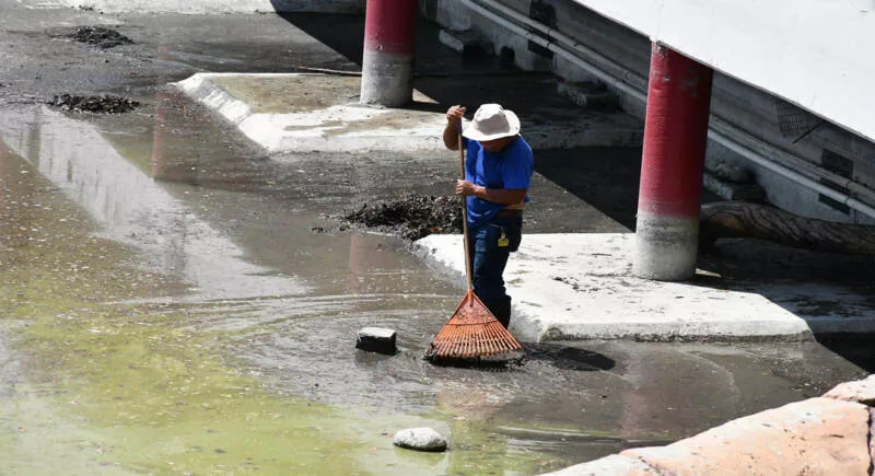 Recibe Zoológico Tamatán a familias con espacios renovados