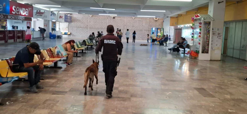 Fortalece Guardia Estatal vigilancia en central de autobuses