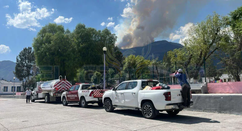 Controlan incendio forestal en Joya de Zavala; 69 hectáreas afectadas