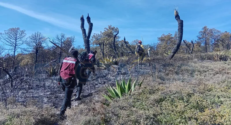 Avanza control de incendio forestal en Sierra de Miquihuana