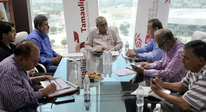 Analizan estrategias para diversificar la producción agrícola en Tamaulipas