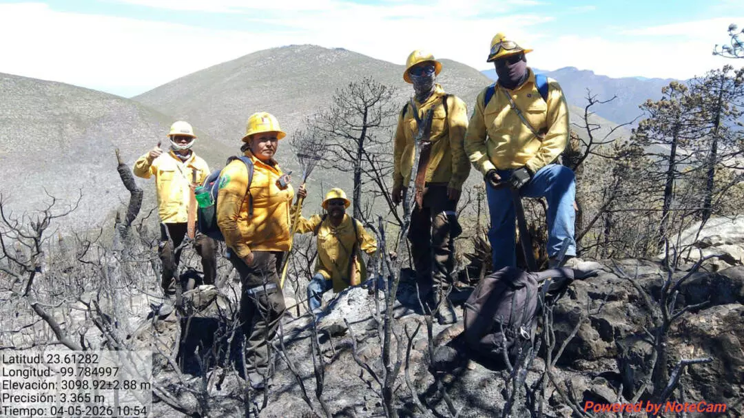 Refuerza Tamaulipas  estrategia interinstitucional contra incendios forestales